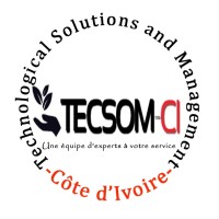 Logo TECSOM