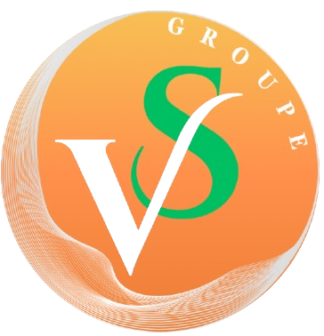 Logo VS Groupe